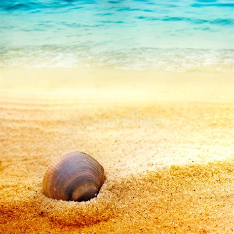 Sea And Sand Background Stock Photo Image Of Colorful 20626108
