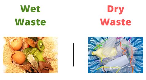 Dry Waste And Wet Waste Management How To Segregate Waste