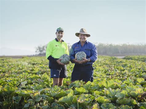 Queensland is a state in northeastern australia, famous for natural wonders, such as the great barrier reef with just short of 5 million inhabitants, most of them in south east queensland, in or around. Building a growing enterprise in far-north Queensland - AUSVEG