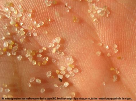 We did not find results for: Sand, under a 250x microscope