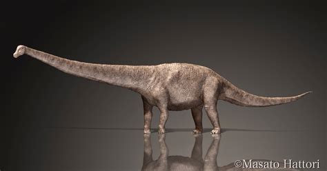 Marchan Blog ドレッドノータス Dreadnoughtus Schrani