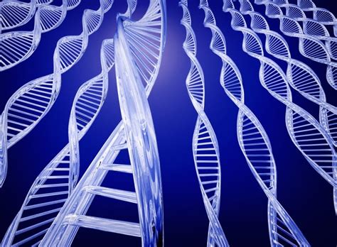 Alternative Health News Scientists Map 95 Of Human Gene Variations