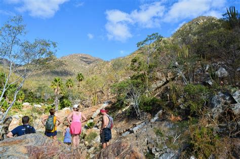 Hiking At Fox Canyon In Cabo