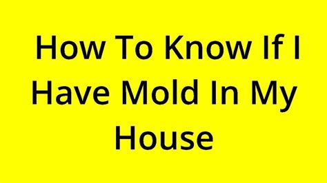 Solved How To Know If I Have Mold In My House Youtube