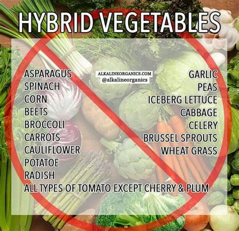 Types Of Hybrid Foods