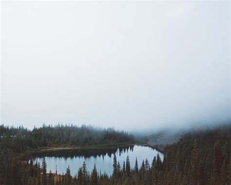 Lake Landscape Photography Of Body Of Water Between Trees Under Foggy