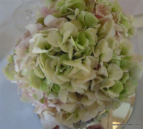 Hydrangea Wedding Flowers Louise Avery Flowers