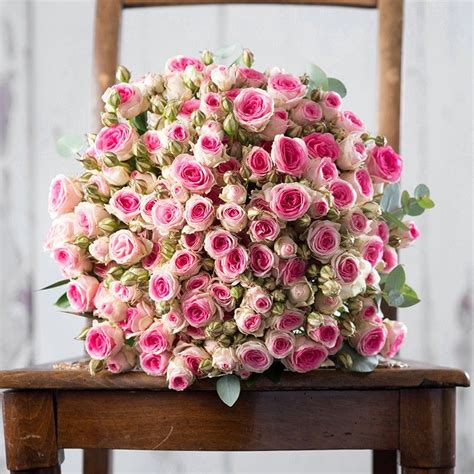 A Lovely Romantic Spray Of Roses Mimi Eden Blooms From Appleyard