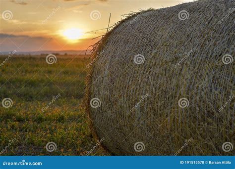 Hay Bale On The Field At Sunset Stock Photo Image Of Agricultural
