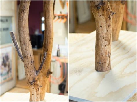 How To Treat Tree Branches For Indoor Use Cleaning Branches For