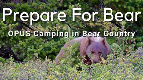 How To Camp In Bear Country Overland Safely In The Opus Youtube