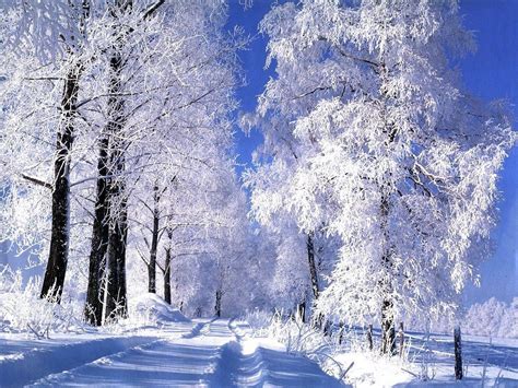 Las mejores fotos de paisajes nevados 2021 - Haciendofotos.com