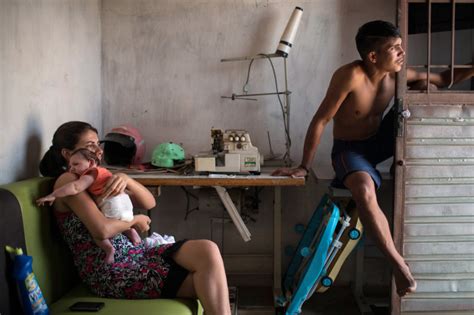brazil blames zika virus for devastating birth defects