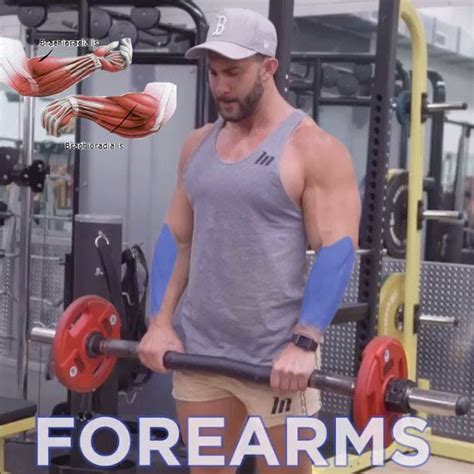 How To Reverse Forearm Curl Workout Challenge Popular Workouts