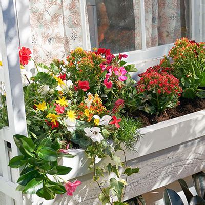 We wanted our boxes 36″ wide. How to Build a Window Box Planter - The Home Depot