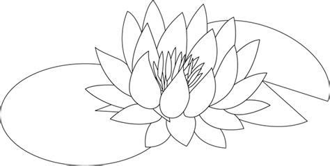 dessin nenuphar  Ecosia  Nénuphar dessin, Image coloriage, Coloriage