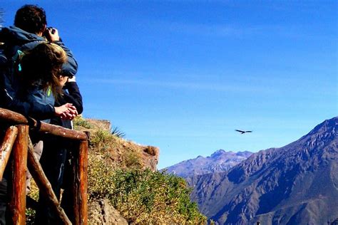 Colca Canyon Full Day Tour All Inclusive 2024 Arequipa