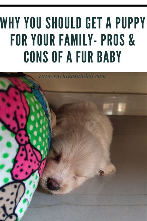 See the best & latest adopt me pet codes 2020 on iscoupon.com. Why you should get a pet for your family - Pros and Cons ...