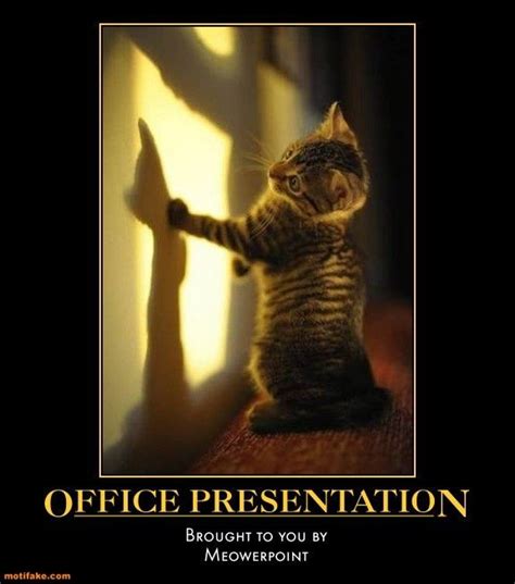 Office Humor This Office Presentation Is Brought To You By Meower