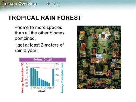Biomes Biotic And Abiotic Factors Biomes Tropical Rainforest Forest