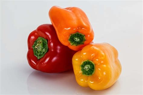 How To Grow And Harvest Bell Peppers Proficient Garden