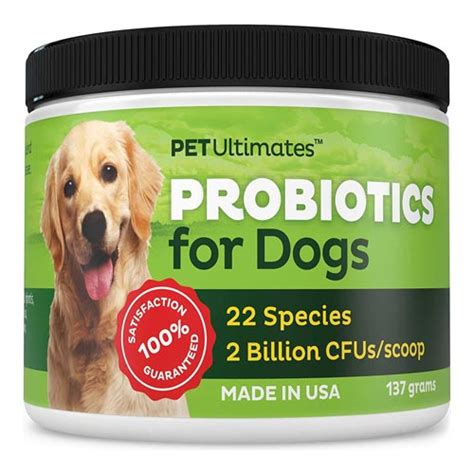 The Best Probiotics For Dog Skin Allergies The Natural Solution