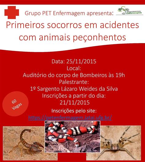 Primeiros Socorros Animais Peçonhentos