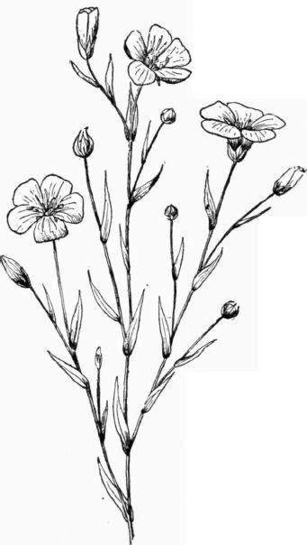 Check out inspiring examples of flowers artwork on deviantart, and get inspired by our community of talented artists. Épinglé par Sarah Leeds sur Journaling | Comment dessiner ...