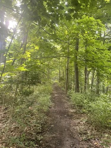 2023 Best Forest Trails In Hanover Alltrails