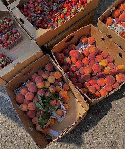 Персики | Персики, Клубника, Эстетика Картинка - Персики | Персики, Клубника, Эстетика