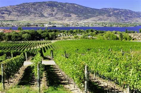 Private option available starts at $89 per person, with pickup from your own address (*if you don't know your address yet put tbd). Okanagan Valley Named Among Best Wine Regions To Visit IN ...