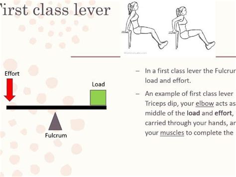 1st Class Lever System