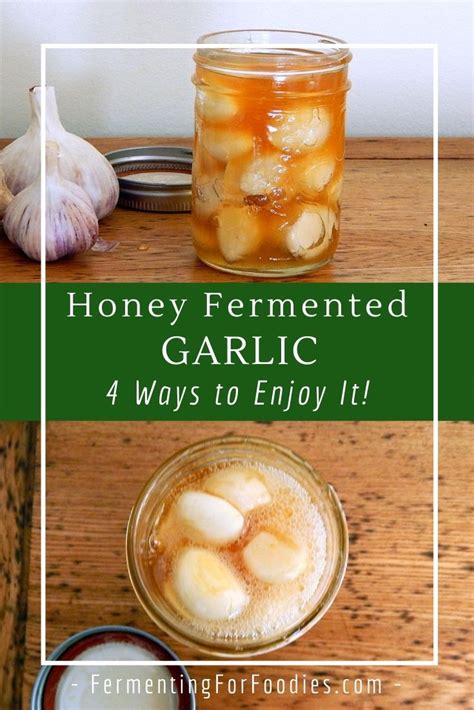 honey fermented garlic a delicious infusion fermenting for foodies