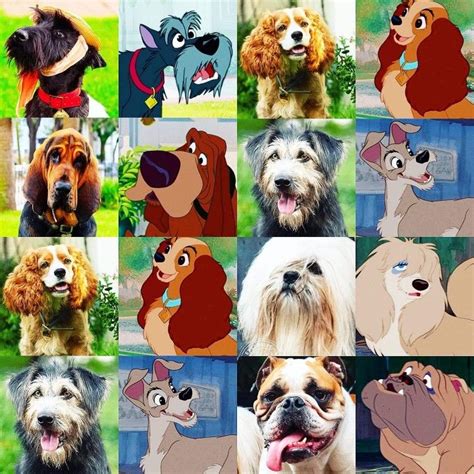 Pin By Crystal Mascioli On Lady And The Tramp Lady And The Tramp