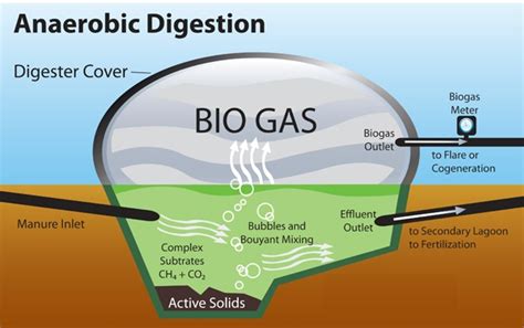 Pengertian Biogas Lengkap Dengan Manfaat Dan Cara Membuatnya Artikel