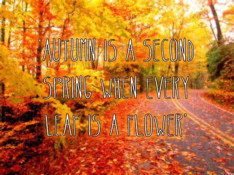 Great Autumn Quotes And Quotesgram