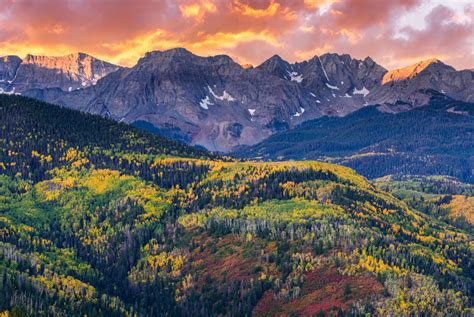 Colorado Fall Colors Forecast 2023 Fall Foliage Map