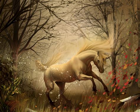 Free Download Horse Playing In The Autumn Woods Wallpapers And Images