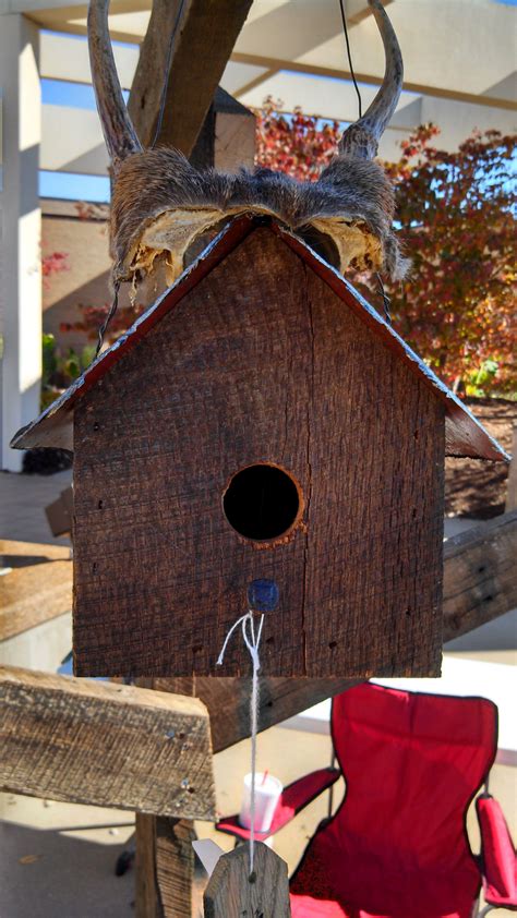 Diy birds birds painting birdhouse designs house painting decorative bird houses hand painted crafts bird boxes bird. Small Hanging Model | Bird house, Bird houses, Outdoor decor