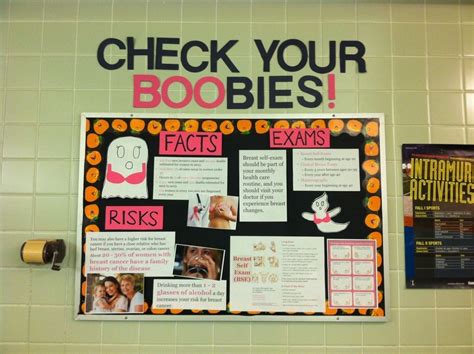 A successful english bulletin board is one which students can read and understand easily. 10 Attractive Bulletin Board Ideas For October 2020