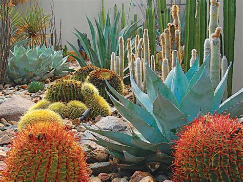50 Easy Southwestern Garden Designs You Can Build Yourself To Accent