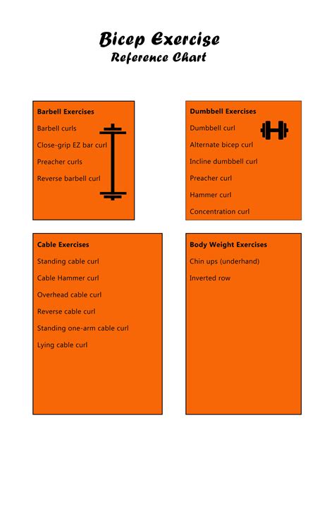 Bicep Exercise Chart Free Download