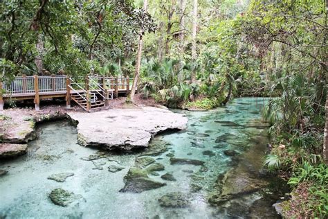 Rock Springs At Kelly Park Beautiful Spring And Park The Florida