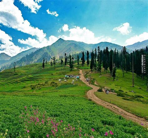 Lalazar kaghan Valley KPK PAKISTAN | Pakistan | Pinterest | Pakistan, Kashmir pakistan and 