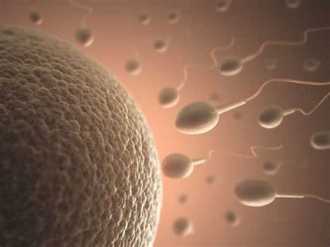 Цвет спермы норма Какой должна быть здоровая сперма оттенок консистенция структура фото