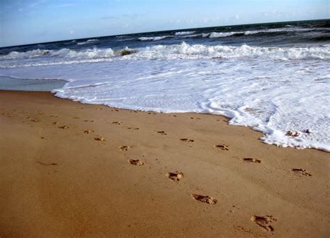 Free Footprints In The Sand Wallpapers Wallpaper Cave
