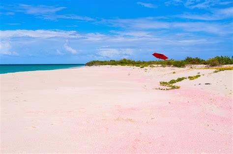 17 Best Pink Sand Beaches In The World Planetware 2022