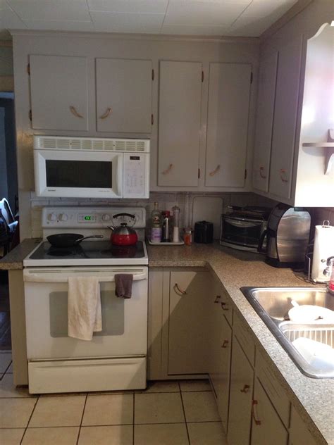 It was first seen in massachusetts in the nineteenth century, and for much of the early twentieth century was the most popular chicken breed in the united states. Finished kitchen! Cabinets painted by "Three Masons ...