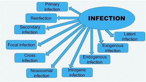 Infection And Types Of Infection In English Microbiology With Sumi
