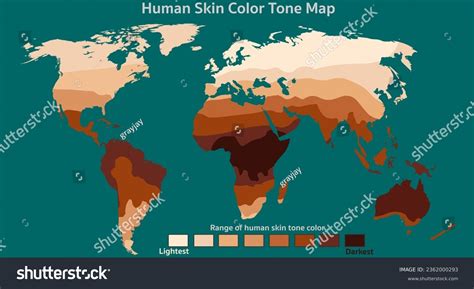 Human Skin Color Map Tone Average World Light Royalty Free Stock